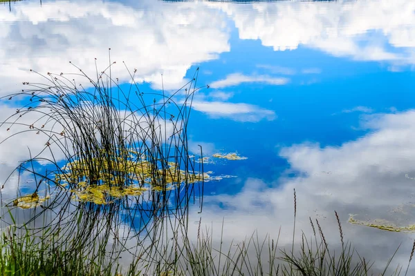 Schilf Trapp See Mit Blauem Himmel Und Wolken Die Sich — Stockfoto