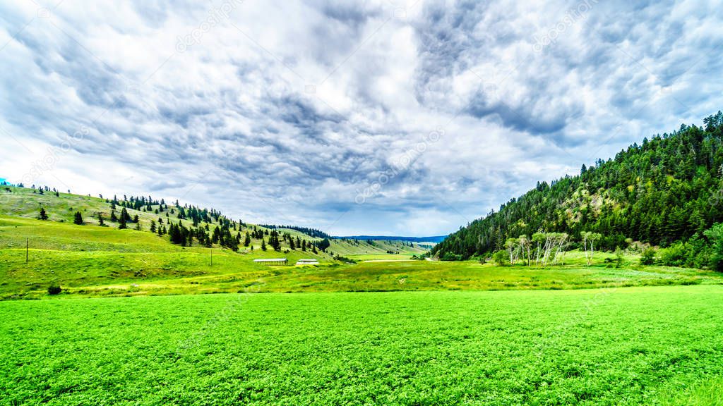 The fertile farmland among the rolling hills along Highway 5A between Kamloops and Merritt in the Okanagen region of British Columbia, Canada