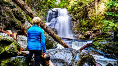 Üst düzey kadın, Whitecroft Şelalesi'nde, bir şelale Mcgillivray Creek ve Sun Peaks yolundan kısa bir yürüyüş kasaba Whitecroft British Columbia, Kanada Okanagen Shuswap bölgesinde yakın: