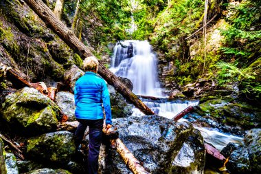 Üst düzey kadın, Whitecroft Şelalesi'nde, bir şelale Mcgillivray Creek ve Sun Peaks yolundan kısa bir yürüyüş kasaba Whitecroft British Columbia, Kanada Okanagen Shuswap bölgesinde yakın:
