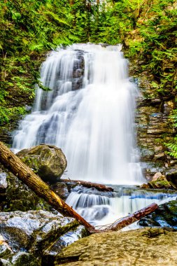 Whitecroft Falls, bir şelale Mcgillivray Creek ve Sun Peaks yolundan kısa bir yürüyüş kasaba Whitecroft British Columbia, Kanada Okanagen Shuswap bölgesinde yakın: