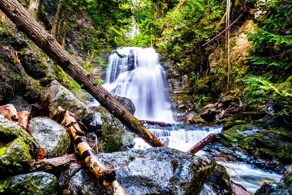 Whitecroft Falls, bir şelale Mcgillivray Creek ve Sun Peaks yolundan kısa bir yürüyüş kasaba Whitecroft British Columbia, Kanada Okanagen Shuswap bölgesinde yakın: