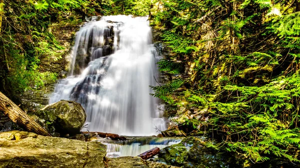 Whitecroft Falls, bir şelale Mcgillivray Creek ve Sun Peaks yolundan kısa bir yürüyüş kasaba Whitecroft British Columbia, Kanada Okanagen Shuswap bölgesinde yakın: