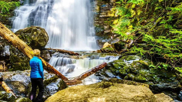 Üst düzey kadın, Whitecroft Şelalesi'nde, bir şelale Mcgillivray Creek ve Sun Peaks yolundan kısa bir yürüyüş kasaba Whitecroft British Columbia, Kanada Okanagen Shuswap bölgesinde yakın: