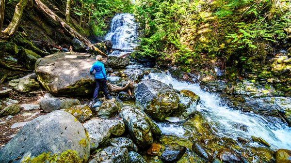 Üst düzey kadın, Whitecroft Şelalesi'nde, bir şelale Mcgillivray Creek ve Sun Peaks yolundan kısa bir yürüyüş kasaba Whitecroft British Columbia, Kanada Okanagen Shuswap bölgesinde yakın: