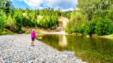 Kadınlar Coldwater River, düşük su seviyeleri de somon Brookmere M.ö., Nicola bölgesinin yakınında erken Eylül ayında Kanada denetleniyor