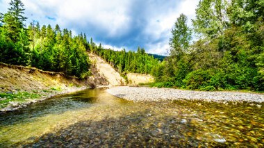 Eylül ayı başlarında düşük su seviyesi nedeniyle Coldwater River somon Habitat m.ö., Kanada Brookmere yakın balık korumalı.