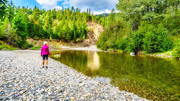 Frauen Überprüfen Lachse Den Niedrigen Wasserständen Des Kaltwasserflusses Anfang September — Stockfoto