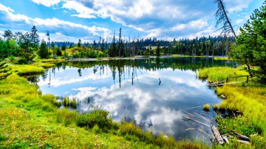 Şafak kızdırma Pond Lac Le Jeune Kamloops, British Columbia, Kanada yakınındaki yakınlarındaki Meadow Creek yolu