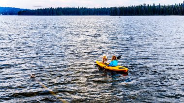 British Columbia, Kanada Kamloops yakınındaki Lac Le Jeune gölde bir kadın tarafından yönlendirilen bir kayık önündeki oturma köpek