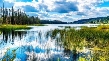 Lac Le Jeune - Batı Gölü yakınındaki Kamloops, British Columbia, Kanada yansıtan gökyüzü