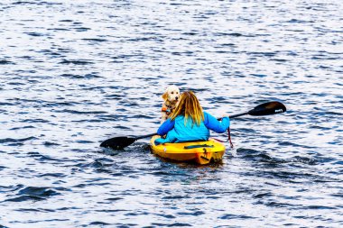British Columbia, Kanada Kamloops yakınındaki Lac Le Jeune gölde bir kadın tarafından yönlendirilen bir kayık önündeki oturma köpek