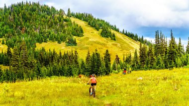 Dağ bisikleti köyü Sun Peaks British Columbia, Kanada Shuswap dağlık yakınındaki Tod dağda sonbahar renkleri alpine meadows aracılığıyla