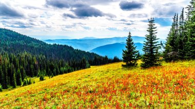 Sun village Peaks British Columbia, Kanada Shuswap dağlık yakınındaki Tod dağda sonbahar renkleri alpine meadows aracılığıyla hiking. 