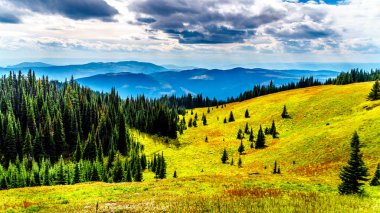 Sun village Peaks British Columbia, Kanada Shuswap dağlık yakınındaki Tod dağda sonbahar renkleri alpine meadows aracılığıyla hiking. 