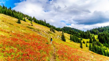 Sun village Peaks British Columbia, Kanada Shuswap dağlık yakınındaki Tod dağda sonbahar renkleri alpine meadows aracılığıyla hiking. 