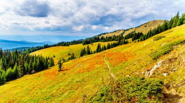Sun village Peaks British Columbia, Kanada Shuswap dağlık yakınındaki Tod dağda sonbahar renkleri alpine meadows aracılığıyla hiking. 