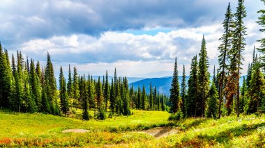 Sun village Peaks British Columbia, Kanada Shuswap dağlık yakınındaki Tod dağda sonbahar renkleri alpine meadows aracılığıyla hiking. 