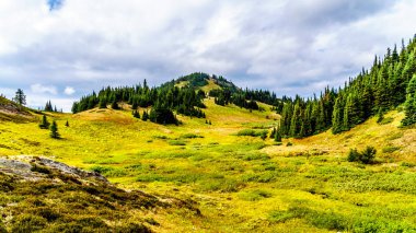 Sun village Peaks British Columbia, Kanada Shuswap dağlık yakınındaki Tod dağda sonbahar renkleri alpine meadows aracılığıyla hiking. 