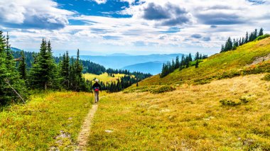 Sun village Peaks British Columbia, Kanada Shuswap dağlık yakınındaki Tod dağda sonbahar renkleri alpine meadows aracılığıyla hiking. 