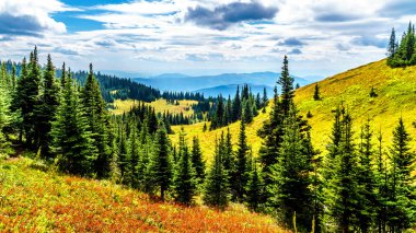 Sun village Peaks British Columbia, Kanada Shuswap dağlık yakınındaki Tod dağda sonbahar renkleri alpine meadows aracılığıyla hiking. 
