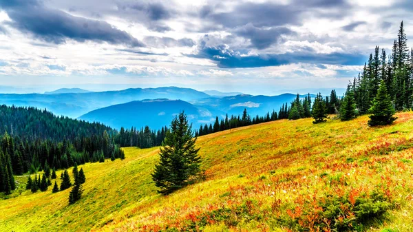 Wandern Durch Die Almen Herbstlichen Farben Auf Dem Tod Mountain — Stockfoto