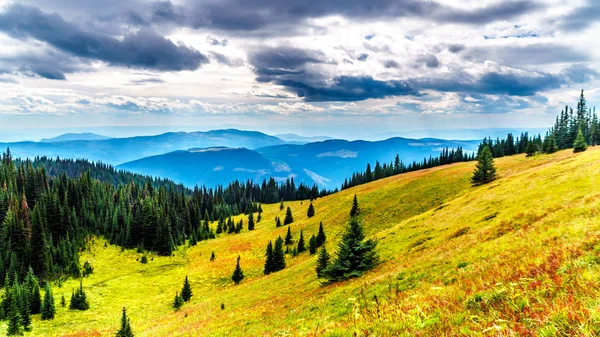 Hiking Alpine Meadows Fall Colors Tod Mountain Village Sun Peaks — Stock Photo, Image