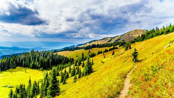 Randonnée Pédestre Dans Les Prairies Alpines Aux Couleurs Automnales Sur — Photo