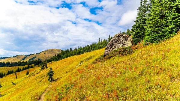 Hiking Alpine Meadows Fall Colors Tod Mountain Village Sun Peaks — Stock Photo, Image