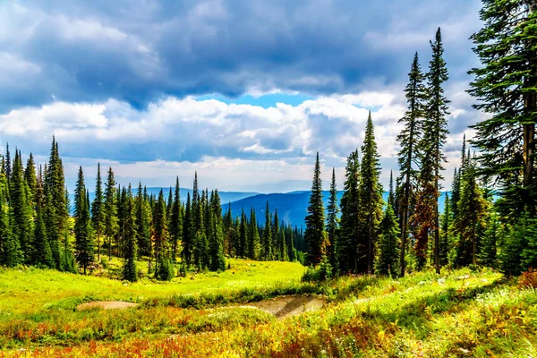 Wandern Durch Die Almen Herbstlichen Farben Auf Dem Tod Mountain — Stockfoto