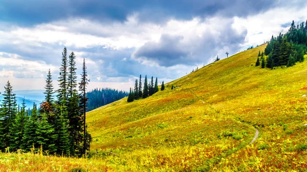 Drumeții Prin Pajiștile Alpine Culori Toamnă Muntele Tod Lângă Satul — Fotografie, imagine de stoc