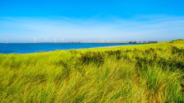 Dunes Hollanda Eyaleti Zeeland Oosterschelde suyolu boyunca çim kaplı