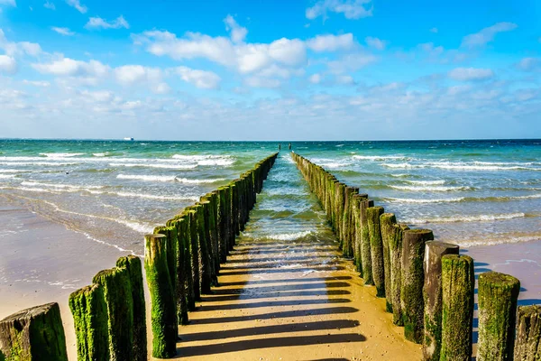 Wooden Posts Beach Erosion Protection System Beach Town Vlissingen Zeeland — Stock Photo, Image