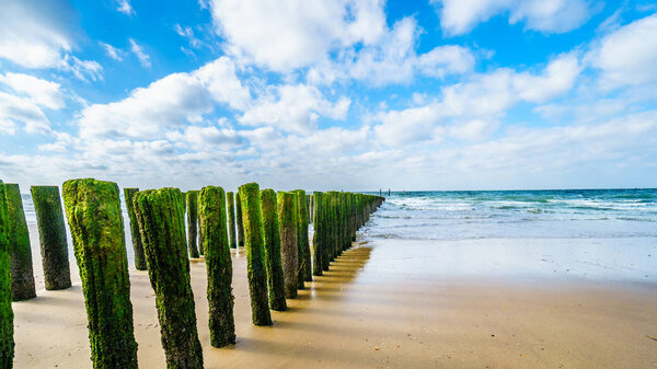 Wooden Posts of a beach erosion protection system along the beach at the town of Vlissingen in Zeeland Province in the Netherlands
