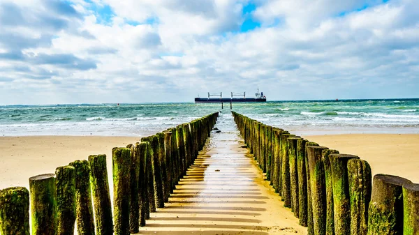 Beach Erosion Protection Large Ocean Freighter Coming North Sea Backgroun — Stock Photo, Image
