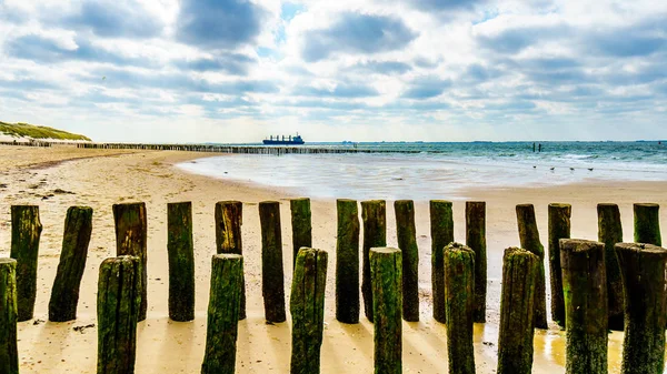 Beach Erosion Protection Large Ocean Freighter Coming North Sea Backgroun — Stock Photo, Image