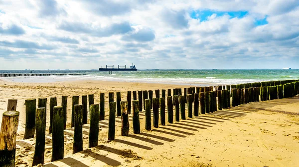 Beach Erosion Protection Large Ocean Freighter Coming North Sea Backgroun — Stock Photo, Image