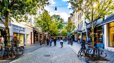 Rotterdam / Hollanda - 26 Eylül 2018: Nieuwe Maas nehri kırmızı kablo ile arka plan ve Noordereiland sahil üzerinde tarihi evler Willems köprü kaldı 