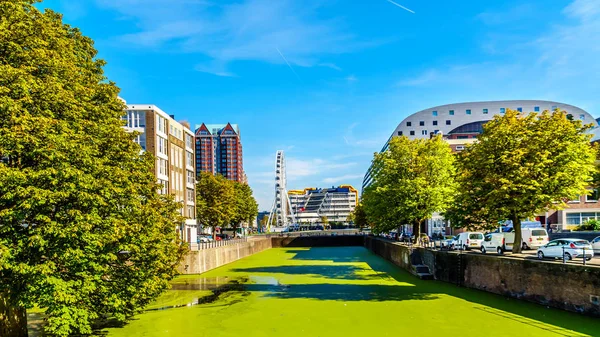 Rotterdam Niederlande Sept 2018 Die Markthalle Hinter Der Steigers Gracht — Stockfoto