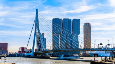 Rotterdam / Hollanda - 26 Eylül 2018: Modern mimari yüksek Rise binaları Cable-Stayed Erasmus Bridge Rotterdam Nieuwe Maas nehri ile Hollanda Amerikakade