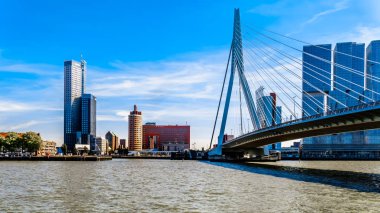 Rotterdam / Hollanda - 26 Eylül 2018: Modern mimari yüksek Rise binaları Cable-Stayed Erasmus Bridge Rotterdam Nieuwe Maas nehri ile Hollanda Amerikakade