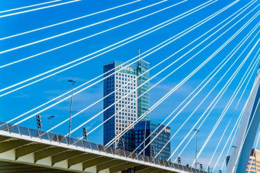 Rotterdam / Hollanda - 26 Eylül 2018: Modern mimari yüksek Rise binaları Nieuwe Maas nehri Rotterdam Cable-Stayed Erasmus Köprüsü'nün kablolar izlendi