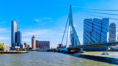 Rotterdam / Hollanda - 26 Eylül 2018: Modern mimari yüksek Rise binaları Cable-Stayed Erasmus Bridge Rotterdam Nieuwe Maas nehri ile Hollanda Amerikakade