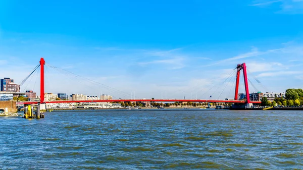Rivière Nieuwe Maas Avec Câble Rouge Est Restée Willems Bridge — Photo