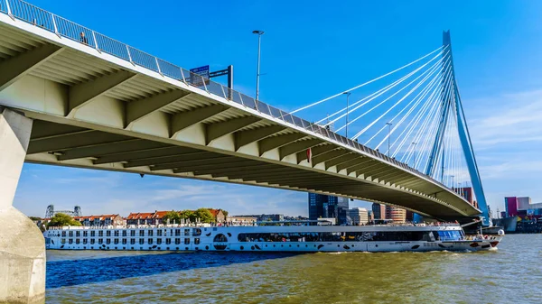 Rotterdam Niederlande 2018 Flusskreuzfahrtschiff Fährt Unter Der Modernen Schrägseilbrücke Über — Stockfoto