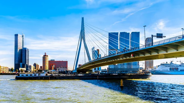 Rotterdam / Hollanda - 26 Eylül 2018: Modern mimari yüksek Rise binaları Cable-Stayed Erasmus Bridge Rotterdam Nieuwe Maas nehri ile Hollanda Amerikakade