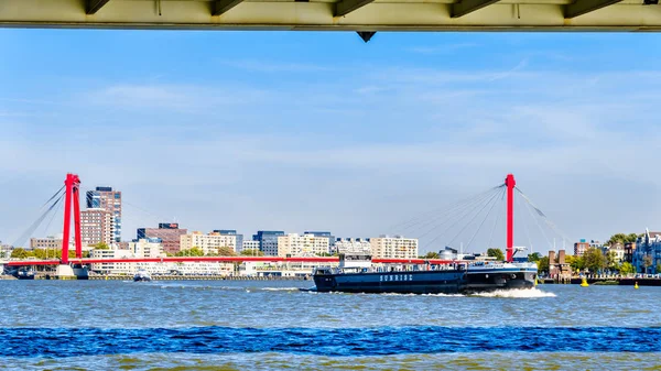 荷兰鹿特丹 2018年9月26日 Nieuwe Maas 河上的一艘莱茵河驳船 带有红色电缆 Willems 桥留在了从鹿特丹 Erasmus 桥下观看的背景下 — 图库照片