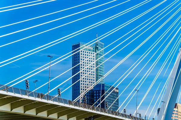 Rotterdam Hollandia Szeptember 2018 Modern Építészeti High Rise Épületek Áttekintenek — Stock Fotó