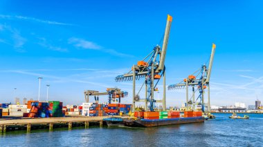 Rotterdam / Hollanda - 26 Eylül 2018: Konteyner Vinç üzerinde Waalhaven, bir girme ve Avrupa kıtasına bırakarak kapsayıcılar için ana Terminal iskelesi