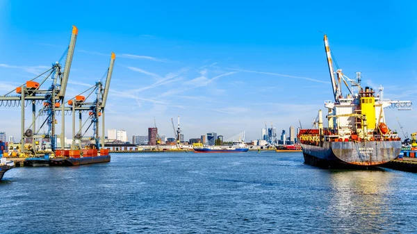 ロッテルダム オランダ 2018 ヨーロッパ大陸に出入りするコンテナーの主要ターミナルの一つ Waalhaven の埠頭でコンテナー クレーン — ストック写真